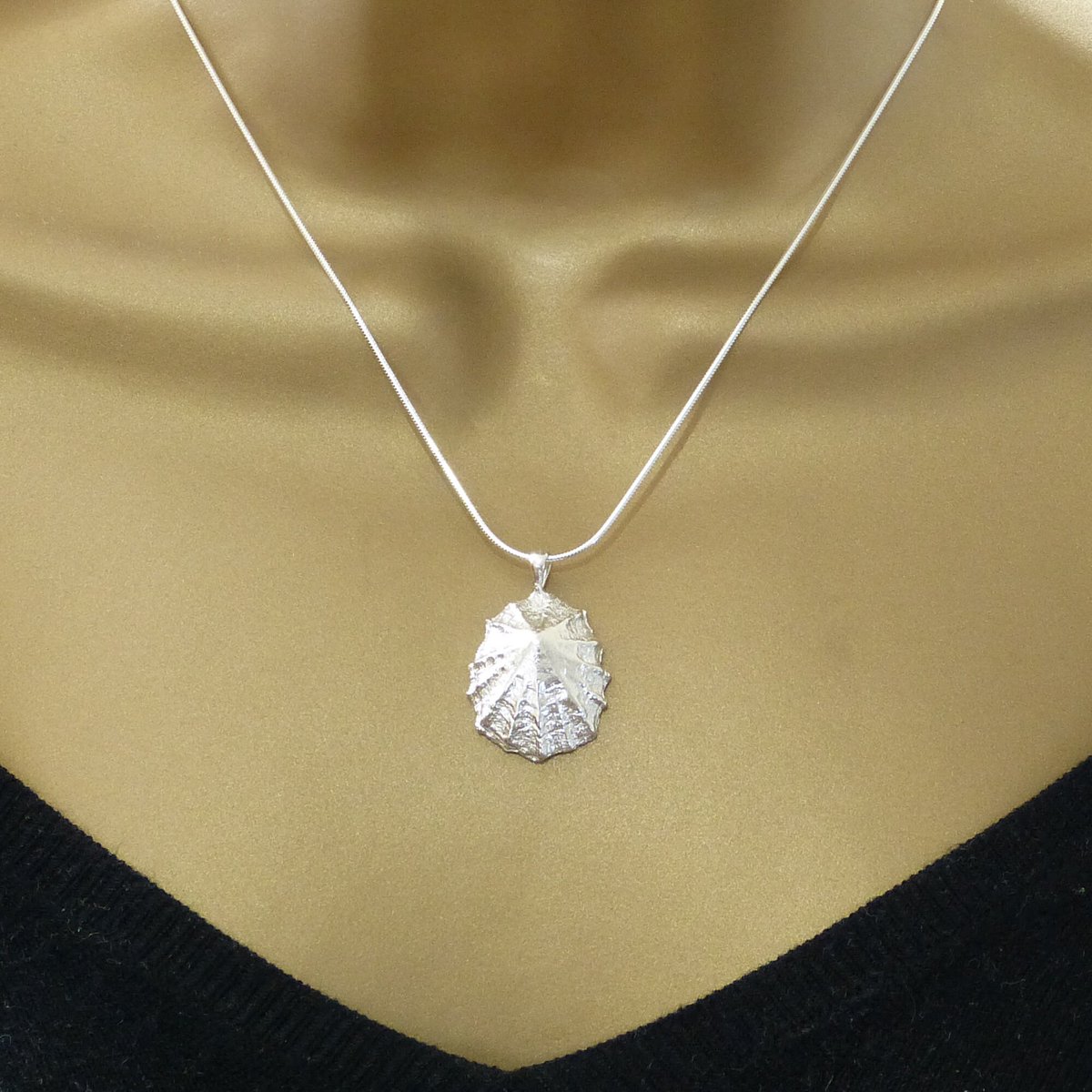 TheStrandline's tweet photo. Sterling Silver Limpet Shell Necklace, Cast Shell Pendant, Seashell Pendant, Hallmarked Silver Pendant https://t.co/1uq53bLBJS #Etsy #thestrandline #EarlyBiz #northumberland #warkworth #supportsmallbusiness #HandmadeHour #shopindie #UKGiftAM #LimpetShell https://t.co/iTn3Xb5MGb