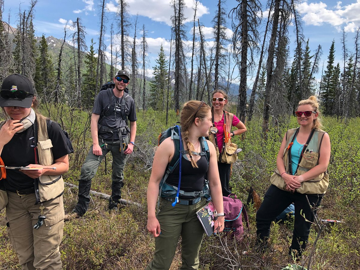 FireAviationNPS's tweet image. Educators have a better knowledge of #FireEcology thanks to Alaska regional fire ecologist, Jennifer Barnes. She taught an educator workshop at @DenaliNPS through @PLT. This workshop gave participants an incredible peek into #FireScience. go.nps.gov/ogbdnn
