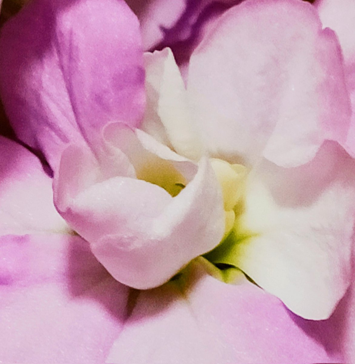 おはようございます。
今日も穏やかに過ごせますように😊。
1月3日🎍✨ⓗⓐⓟⓟⓨ✨🎍