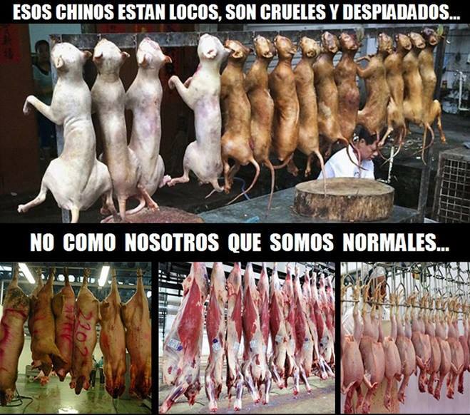 stevencortez481's tweet photo. DOBLE MORAL ANIMALISTA https://t.co/4pRIHsgqGG