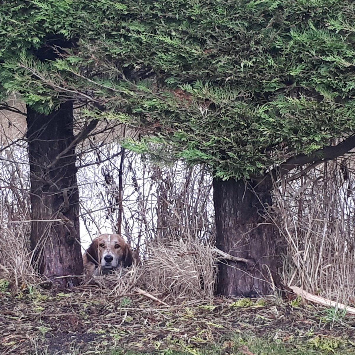 Danny Gooyer tweet media