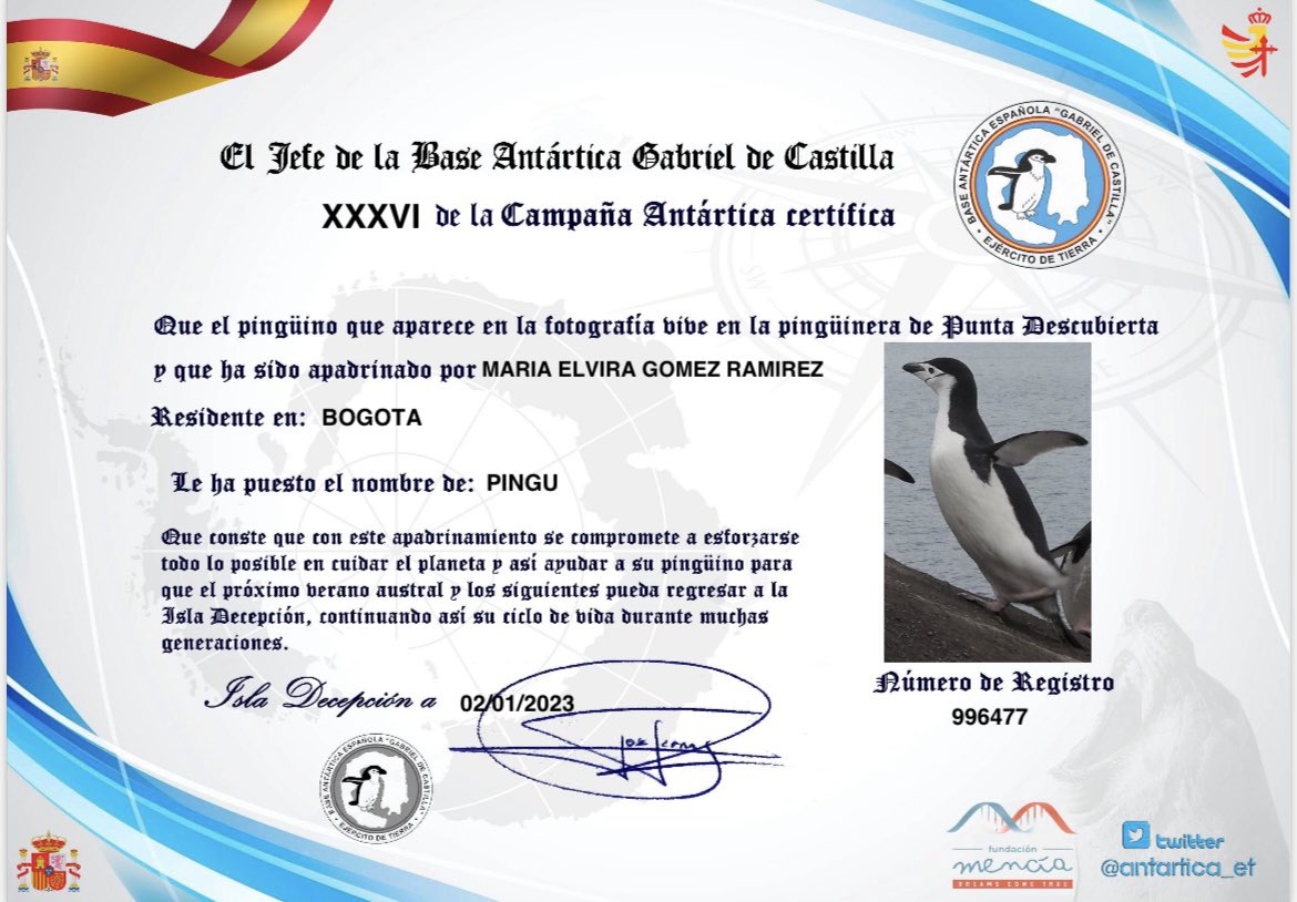 melvigomezr's tweet photo. Volvió la temporada de apadrinar pingüinos🤩 https://t.co/bSJosqpfky