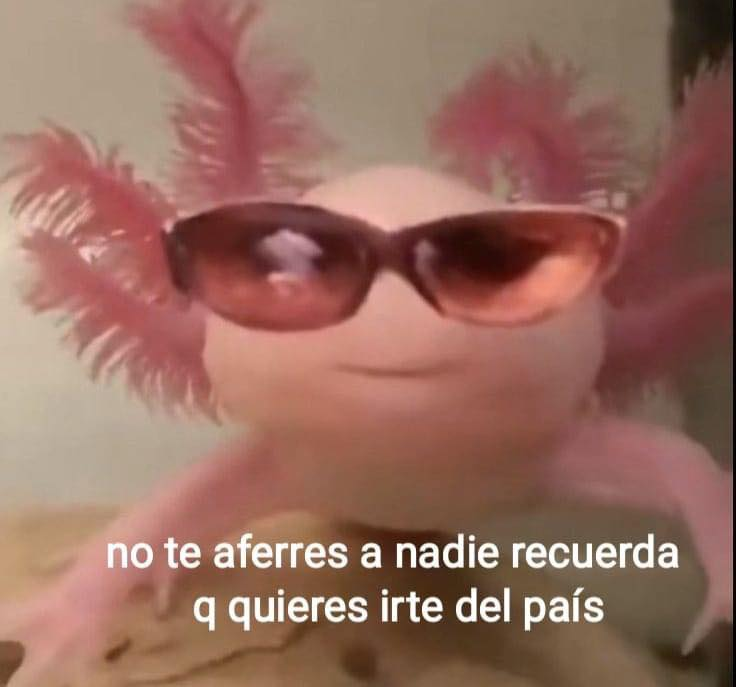 MDaina502's tweet photo. Asi es jajaja https://t.co/YH2u4ypE3c
