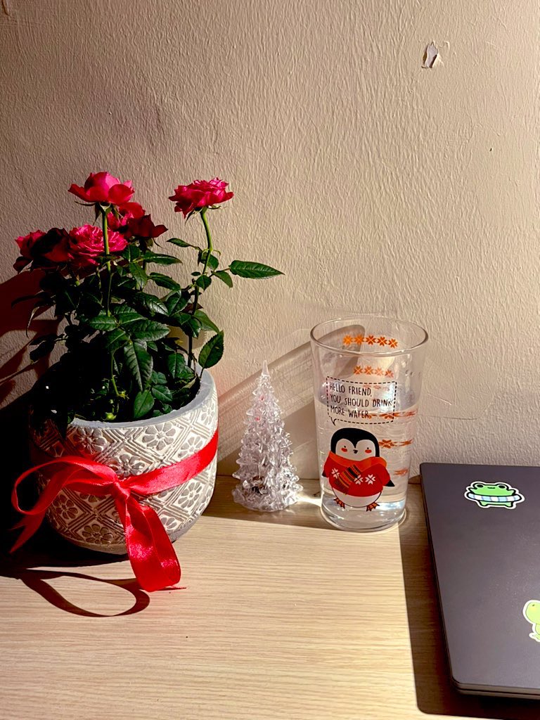 Filizcogluu's tweet photo. Siz kokinadan devam😌 https://t.co/iWVG66z8nv