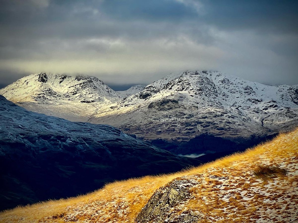 Marc Ellison tweet media