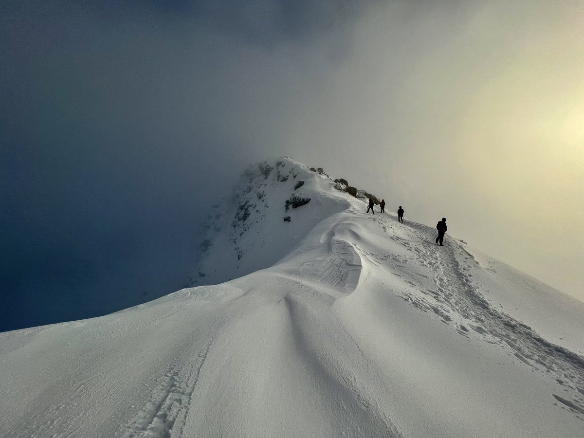 Marc Ellison tweet media