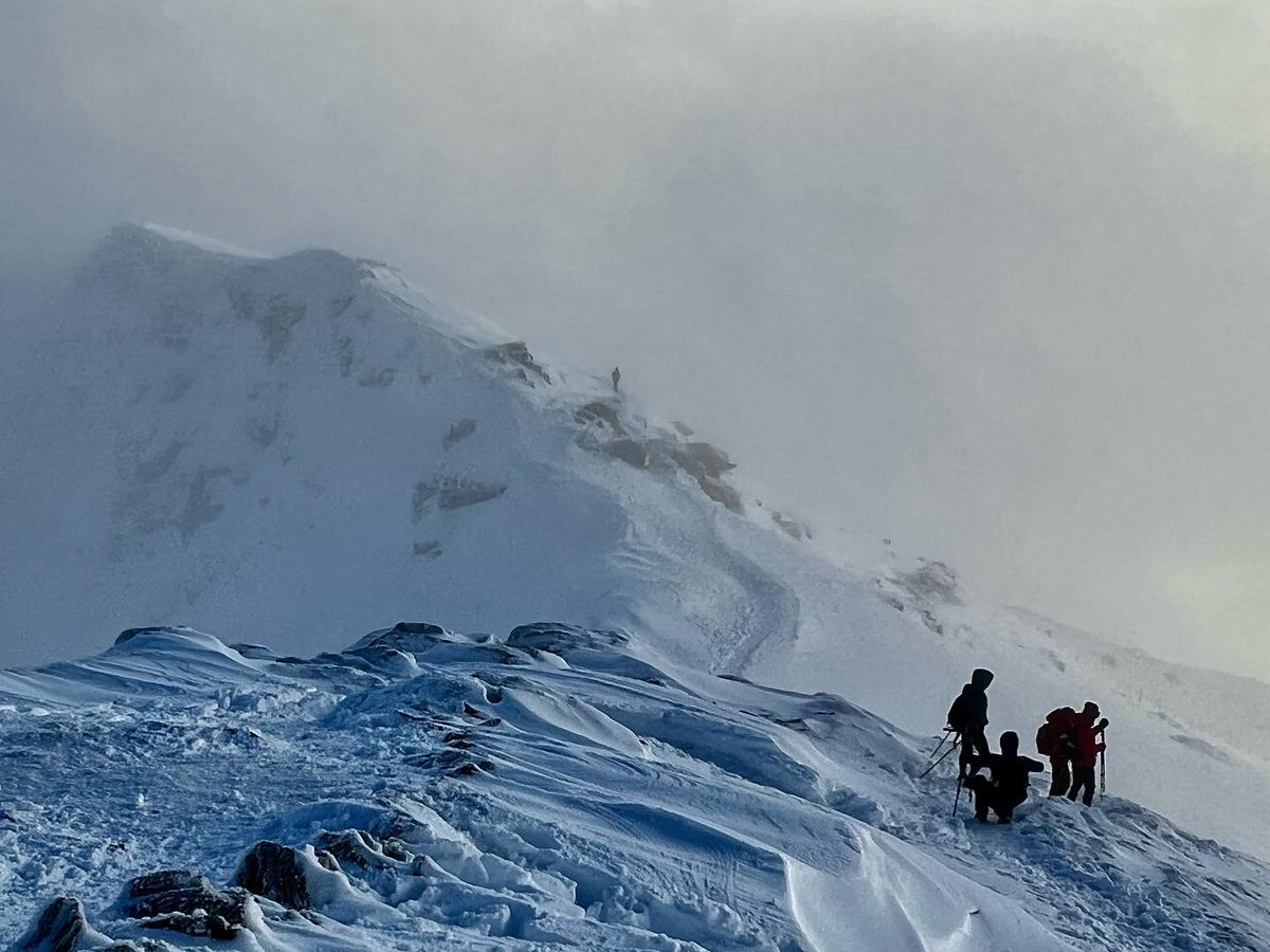 Marc Ellison tweet media