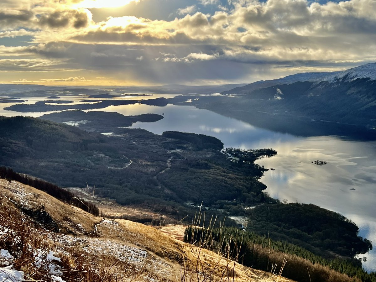 Marc Ellison tweet media