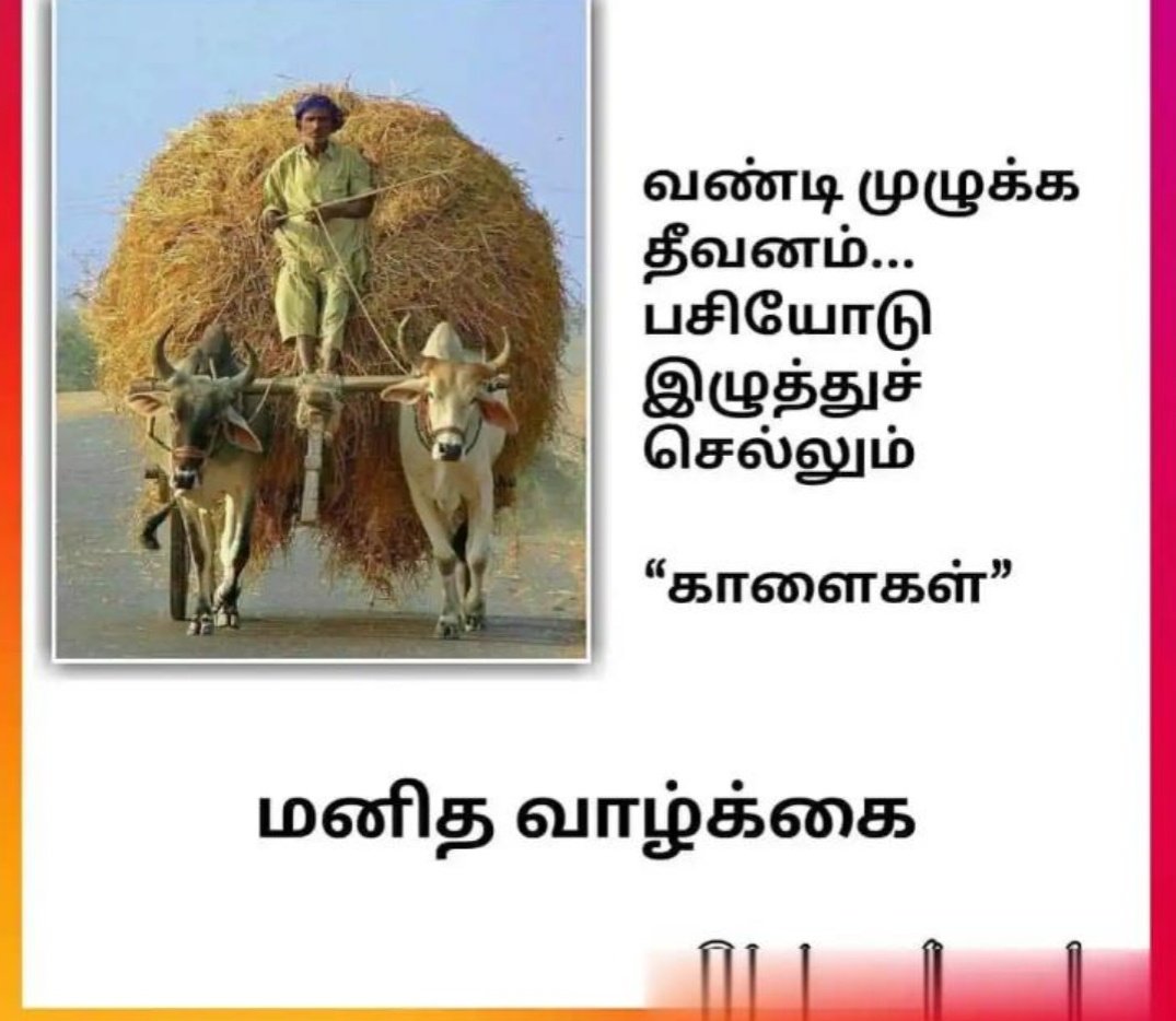 tskctk's tweet image. 