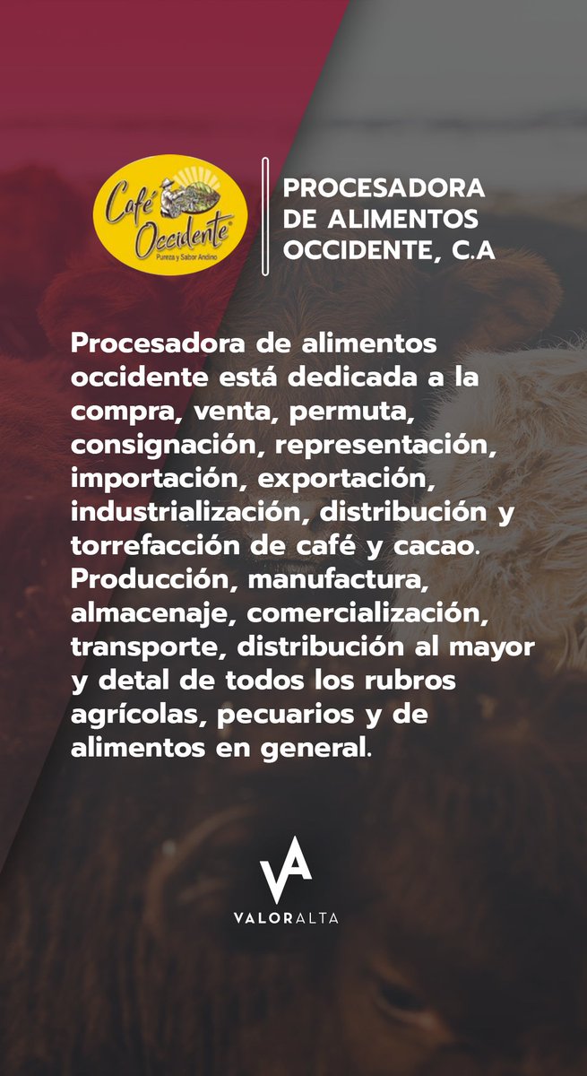 valoralta1's tweet photo. 🤓¡Conoce este emisor!🤓
.
#Cafeoccidente
#Procesadoradealimentosoccidente
Recuerda que aún están disponibles los papeles comerciales
.
#ValorAltaCasaDeBolsa #Colocacion #Colocacionprimaria #Sunaval #Papelescomerciales #Emision #Emisor https://t.co/7j5SEsNoyv