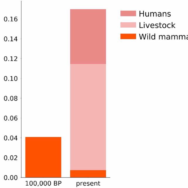Humans have such a big impact on the biomass of mammals … unfortunately nog in a positive way. 
#RacingExtinction #biodiversity