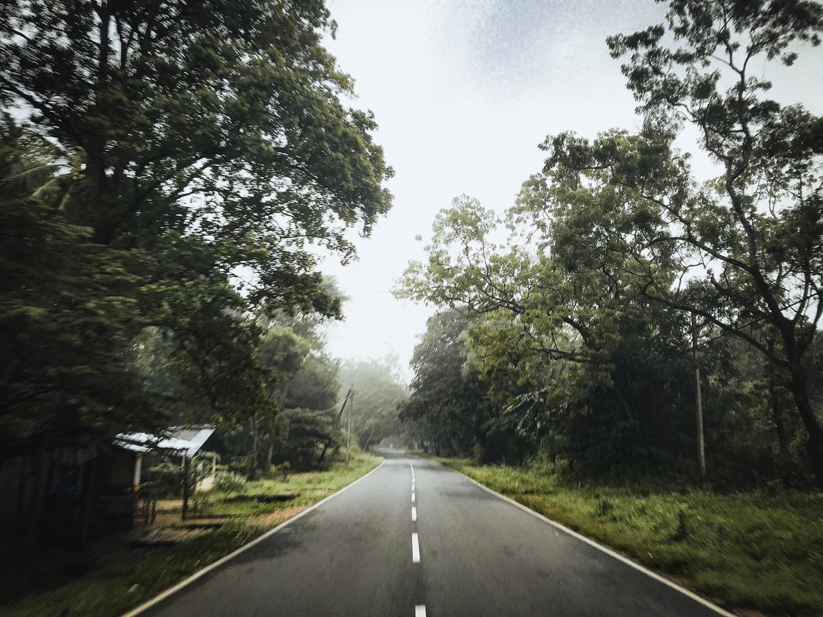 thanuka_prabash's tweet photo. #travelsrilanka #travelphotography #travellover #mountainview #srilankatravel #SigiriyaSriLanka #Trincomalee #habarana #digampatha #pidurangalarock #kanthale #biketravel #longdistance #chillweather
#visit_srilanka
The journey of a thousand miles begins with a single step. https://t.co/QSa9KYfn6D
