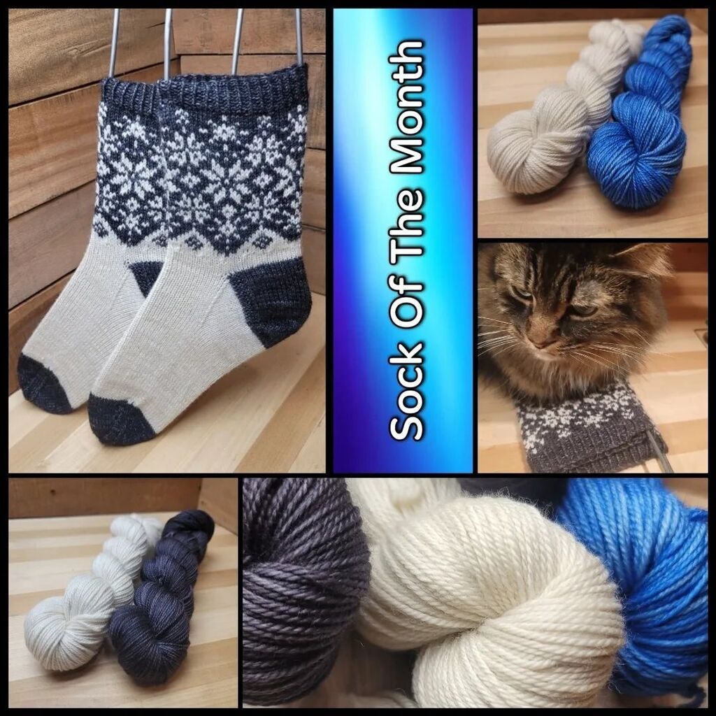 dragonstrings's tweet photo. Sock Of The Month is here!
tl:dr Dragon Socks have dropped. Head over to the site to grab them (Link in Bio) or read on for the details.⁠
⁠
Sock Kits are going to be pre-dyed, and very Limited Edition. I dye up a bunch they go on sale on the WYSIWYG side of the site, and the… https://t.co/Qpb2Z6Nwfj