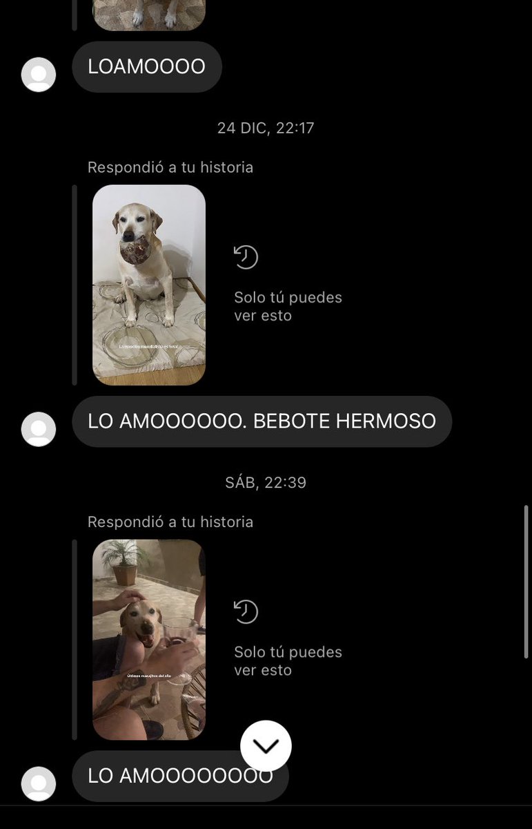 antozoso's tweet photo. Hay una cuenta medio fantasma que no tiene ni foto de perfil y solo me contesta las historias de mi perro 🤝❤️ https://t.co/PdVSzZ8ur3