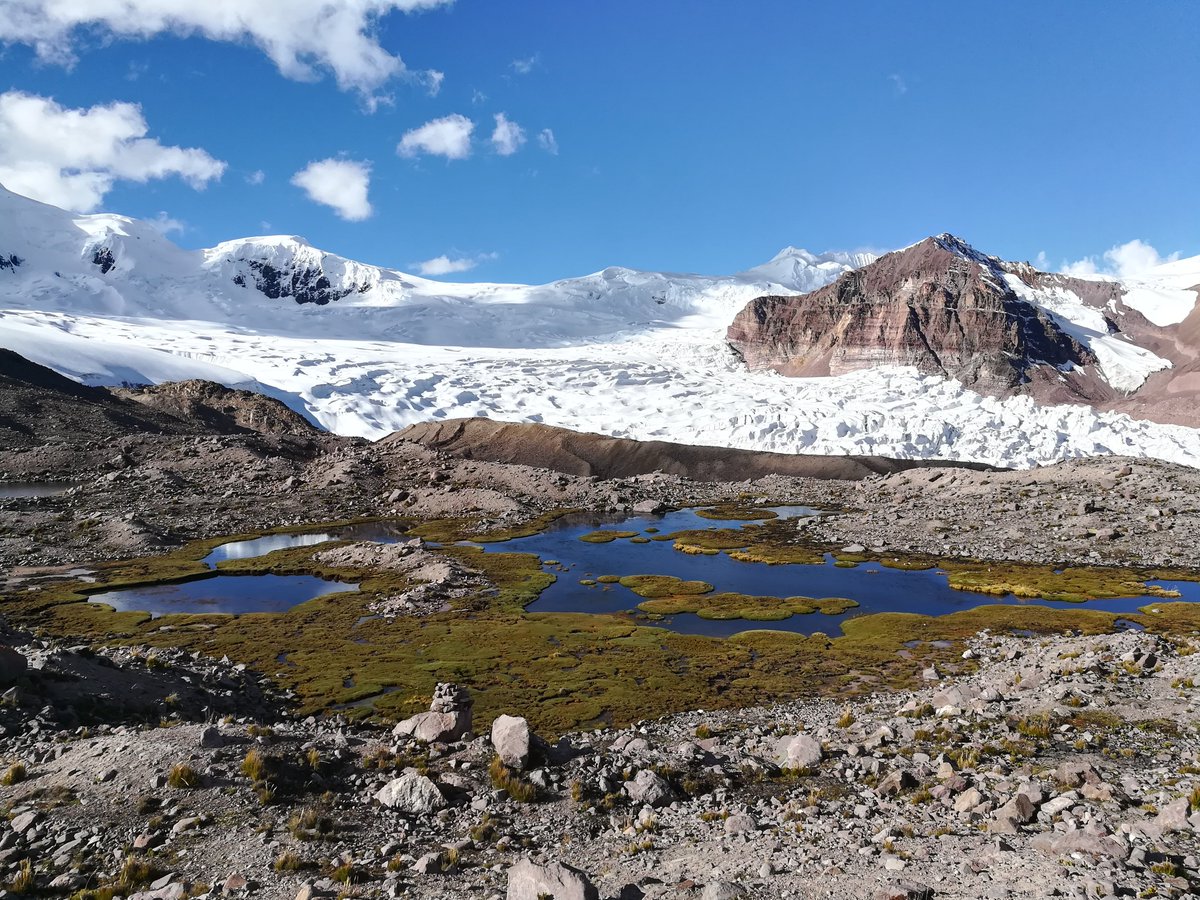 proranas's tweet image. JMU MS position: If you are interested in a graduate degree in biology and studying high-mountain ecosystems and climate change we would love to hear from you! Please send materials and inquiries by Jan 8th. Position description -&amp;gt; tinyurl.com/jsuf4sut