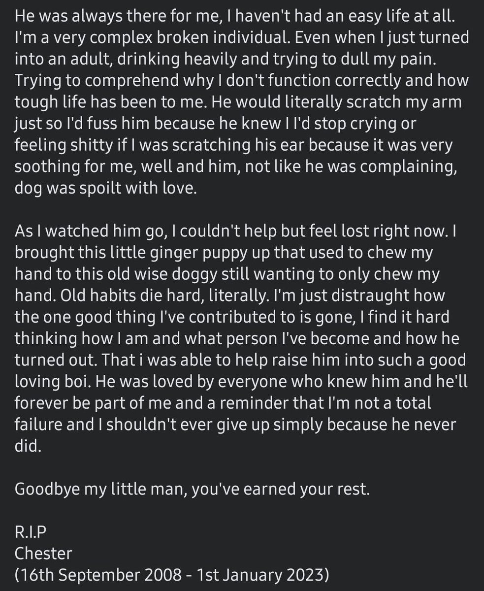 Kam Solas tweet media