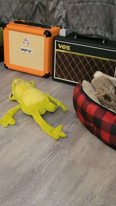 When you're both playing so bad that Kermit croaks!  XD https://t.co/Y6HjEzGfai