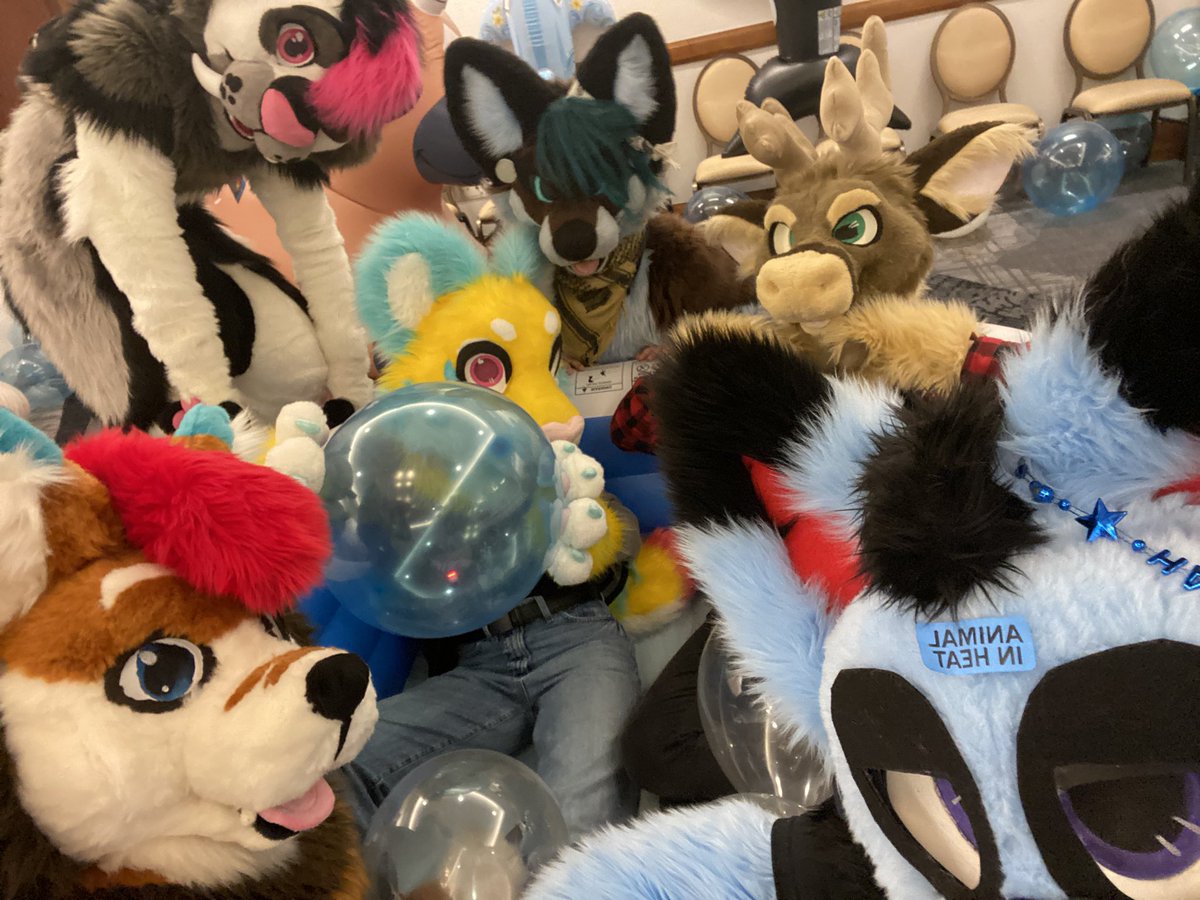 xx_tamarisk_xx's tweet image. best weekend ever :3  #pdfc
