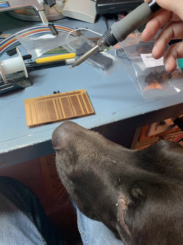TheMilesSmiles's tweet photo. Can I help solder? https://t.co/QrTEnvyxzq