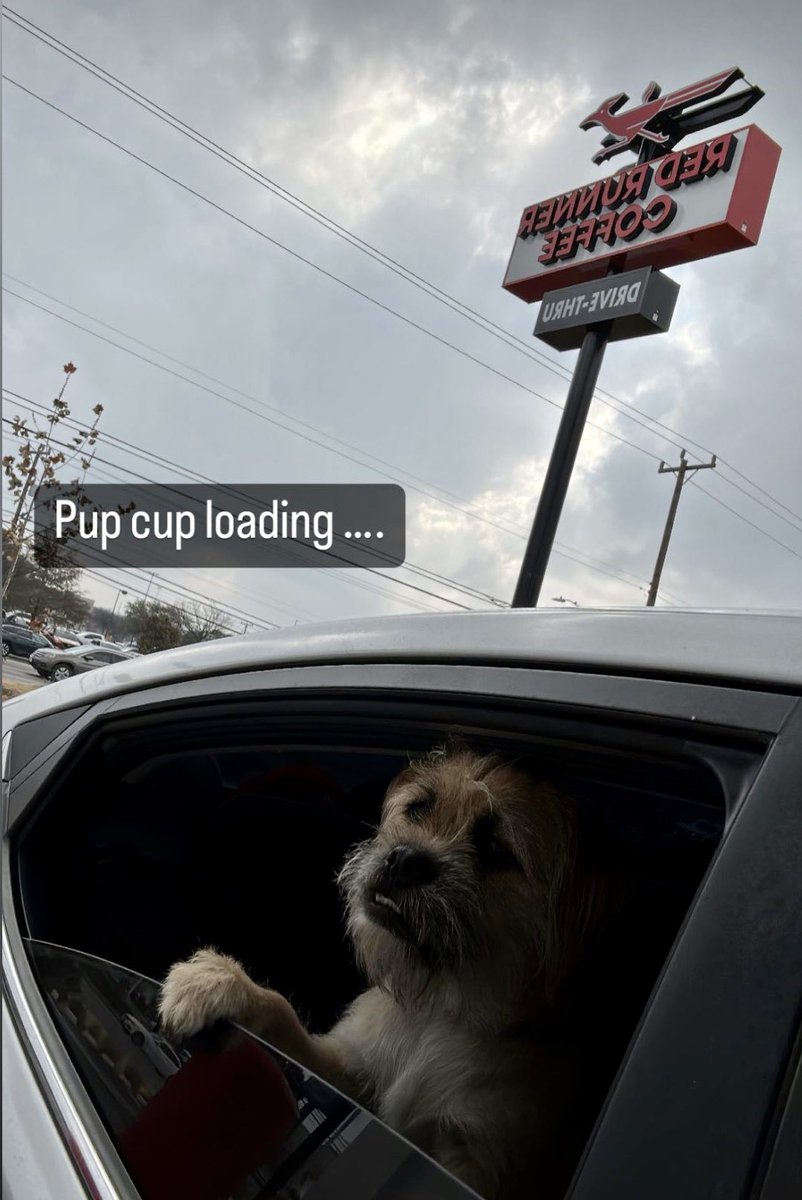 Red Runner Coffee tweet media