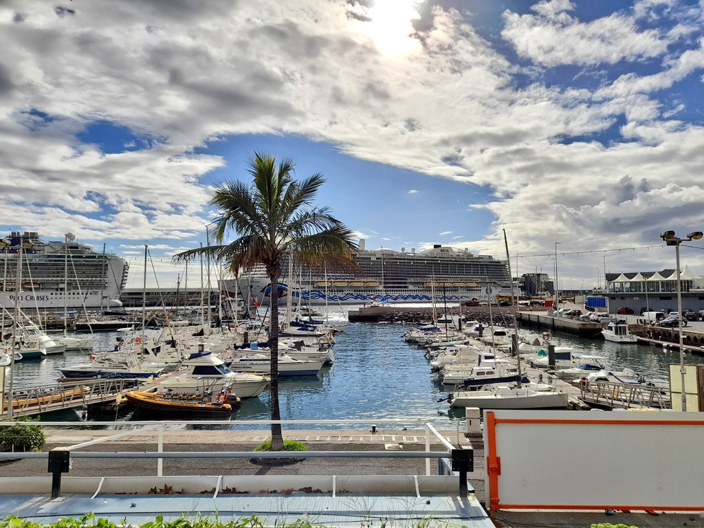 SilviaCorreia05's tweet photo. Afternoon stroll. 🛳⚓️⛵️
#FunchalPort #Funchal #MadeiraIsland🏝 https://t.co/FyaY5DDDs8