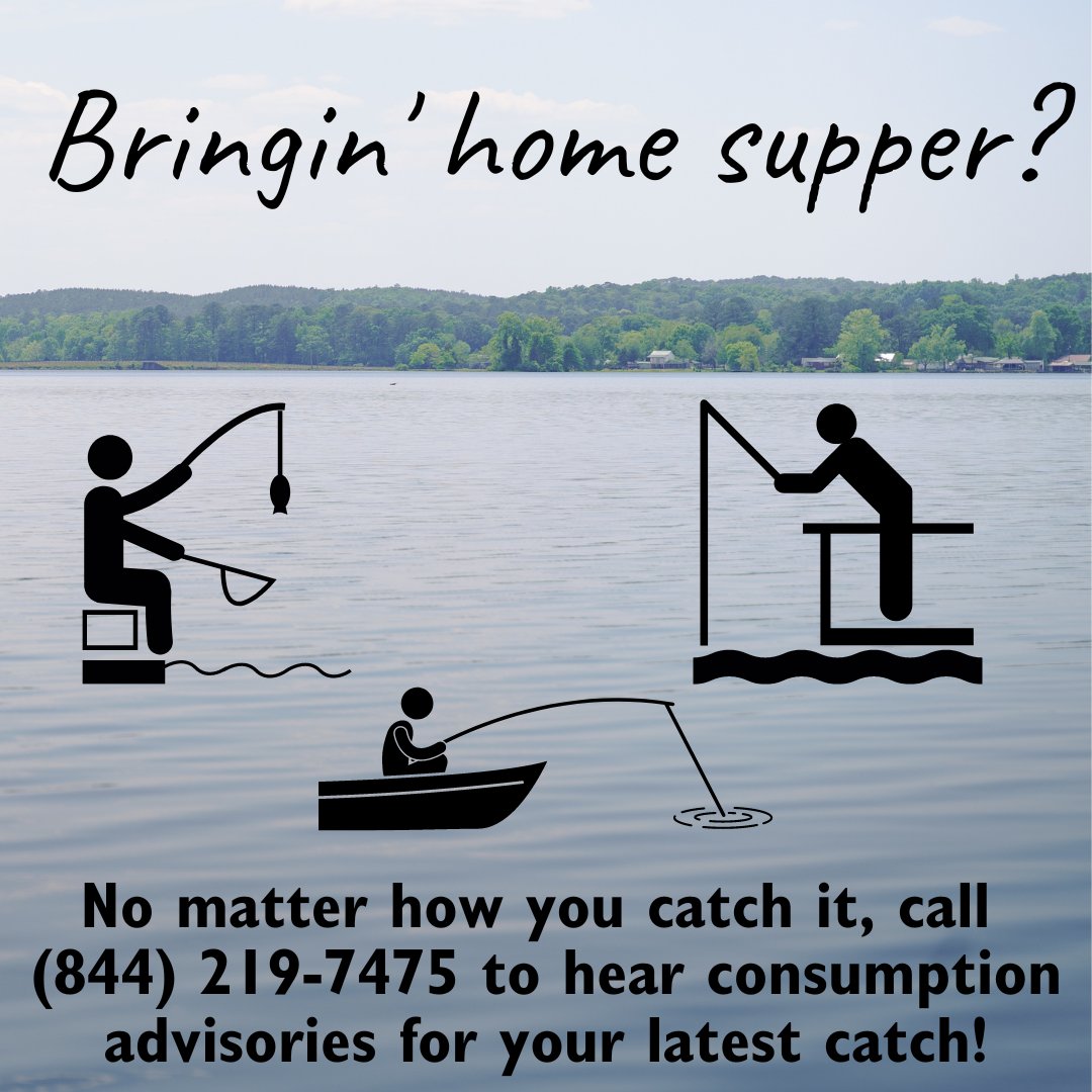 ALFishAdvisLine's tweet image. Happy to be joining y'all in 2023! Fishing more is a great new year's resolution.. 🤔🎣 

Bring the hotline along if you are catching AL fish for dinner! &amp;gt;&amp;gt; (844) 219-7475