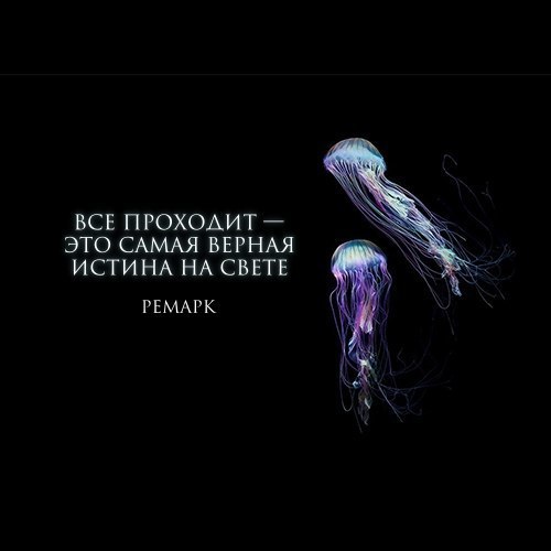 tsitatym's tweet photo. https://t.co/0HWcPvRooz