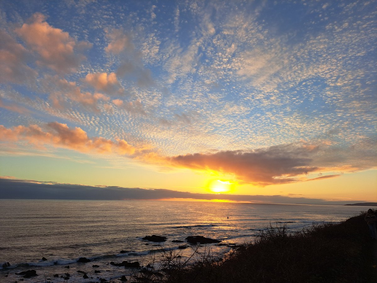 IamJoCole's tweet photo. Stunning #sunset in #Cornwall this afternoon, though someone was more interested in playing ball
#dogs #dogsoftwitter #1nicething #onenicething https://t.co/jBusa3KB22