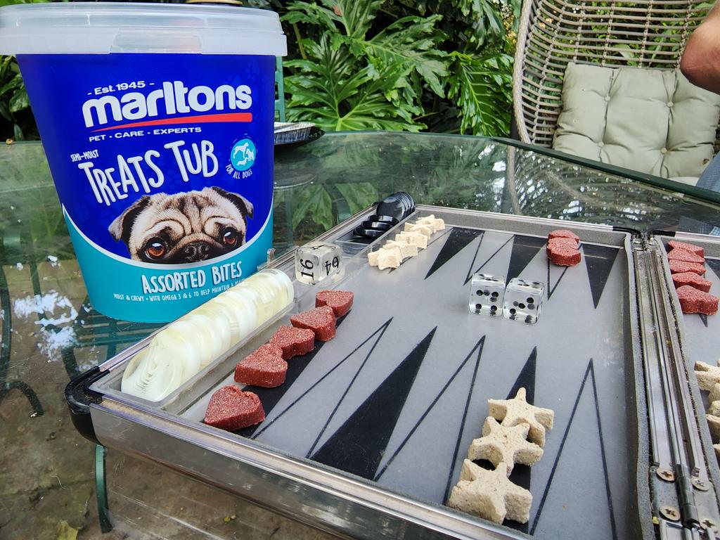 When you don't have backgammon pips #Marltons dog treats to the rescue.