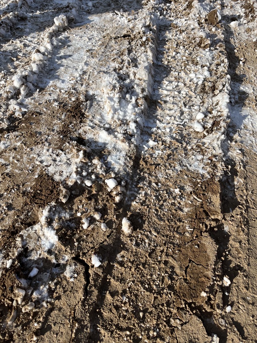 spaceceramics's tweet photo. Ice on Mars! https://t.co/5lToRVLerk