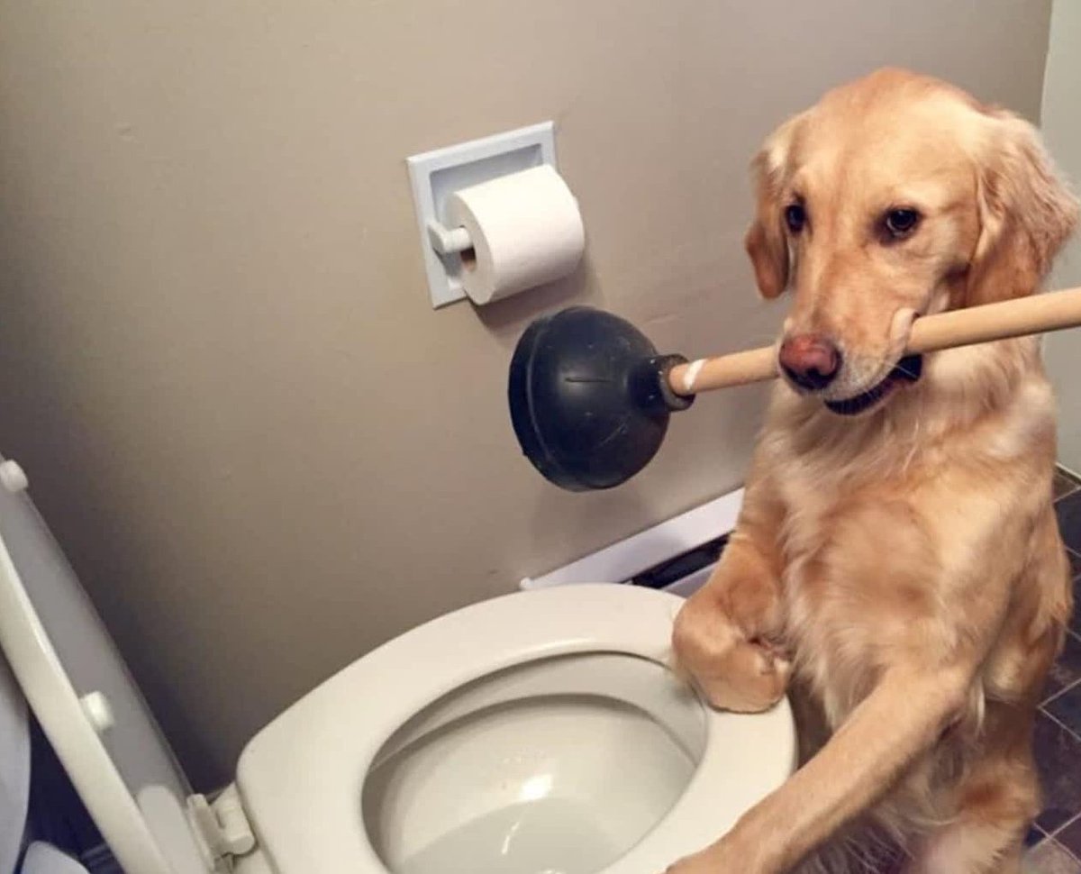 Best_Plumbers's tweet photo. For all your plumbing needs, find the experts at https://t.co/CjgbsVBZaA #plumber #plumbers #plumbing #PlumbersNearMe #BestPlumbers https://t.co/DyXTEe4Eaq