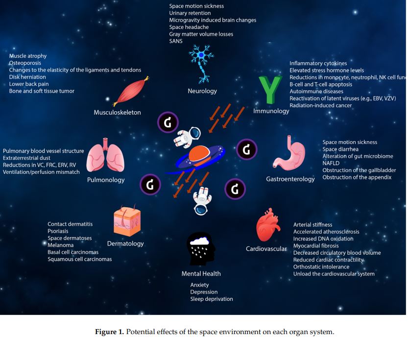 AeroMedicine's tweet photo. Human Health during Space Travel: State-of-the-Art Review.
(Rather chaotic) Review at MDPI.
#difficult #scope #comprehensiveness #AI #riskmanagement
https://t.co/I7hXhtxMJR https://t.co/wAFkNsAraz