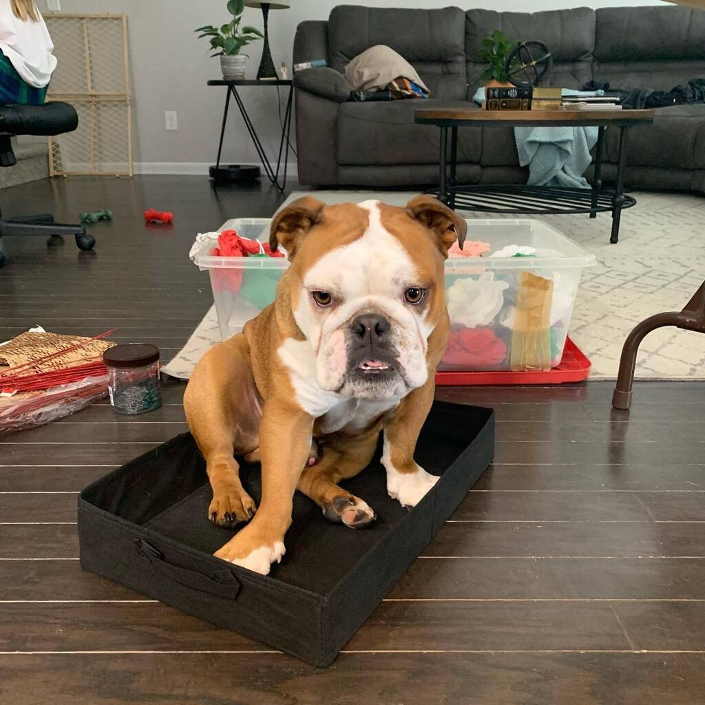 WITH the Swains tweet media