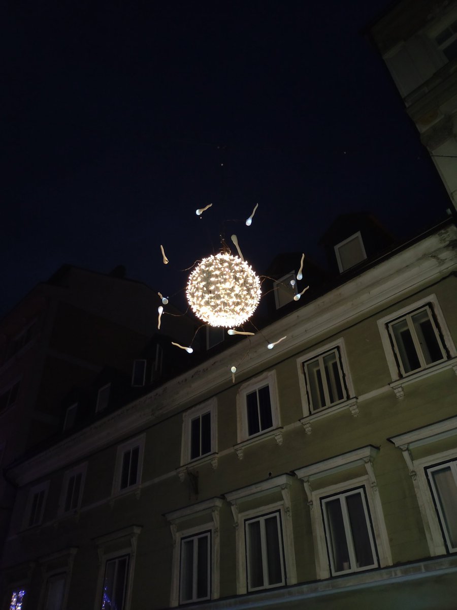 Charlotte Schwenner tweet media