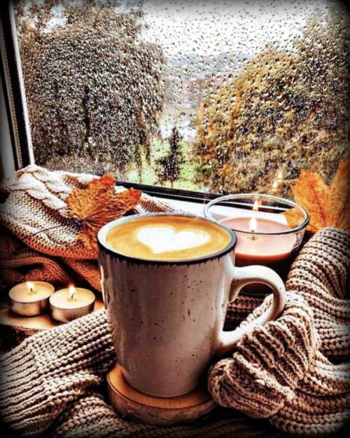 تويتر كان لي دوماً ..نافذة لأرى منها جمال و لطف و نور و أرواح طيبة
و ربما لأشارك غيري هنا.. بعض مما احب و يبهجني.

هذا الحساب انشأه لي صديق، بعد ان توقف حسابي الأول <a href="/SaudiBatman/">Bat</a> 

و بعد سنين ، اعادوا لي الحساب..
ربما لأرجع لنوافذي القديمة.

اتطلع ..لأراكم هناك..
وانا ممتن لكم 🌺