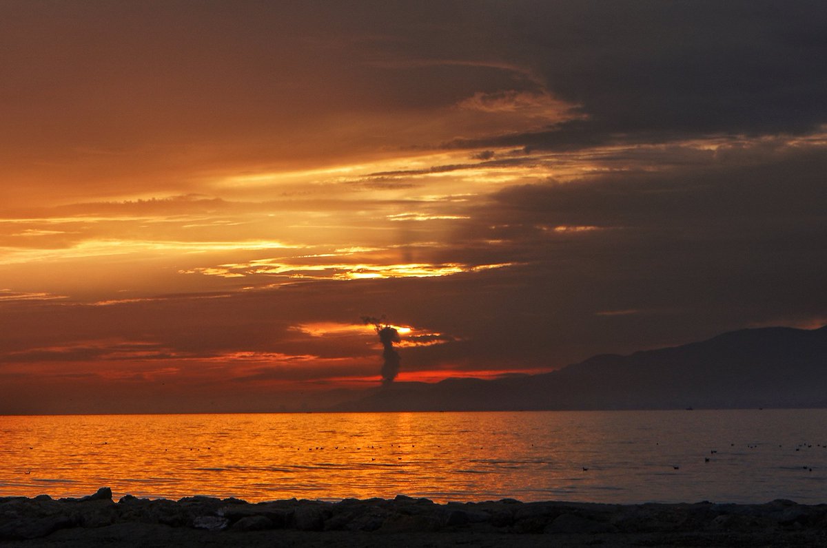 Jolurusa69's tweet photo. Columna de humo, vista desde cambrils dirección vandellos, posible incendio? Quema de rastrojo?
Y la Puesta de sol desde cambrils, hoy muy nublado y temperatura agradable continuamos con el #invierano .
@tiempobrasero @TomasMolinaB
@StormHour https://t.co/d7rlvEnU12