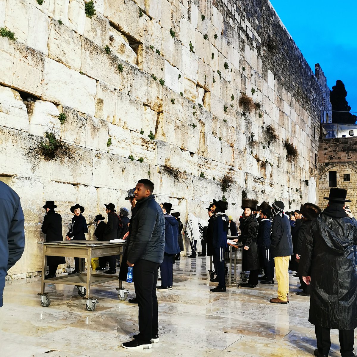 EarthCitisen's tweet photo. The Western Wall was an overwhelming experience for me, the crowds, the prayers, the loud chants and the meaning of it all.

#travel #travelblog #travelblogger #travelbloggers #photography #photographer #pilgrimage #pilgrim #traveller #wanderlust #TravelTips #holycity #Jerusalem https://t.co/GQvm5ioVJE