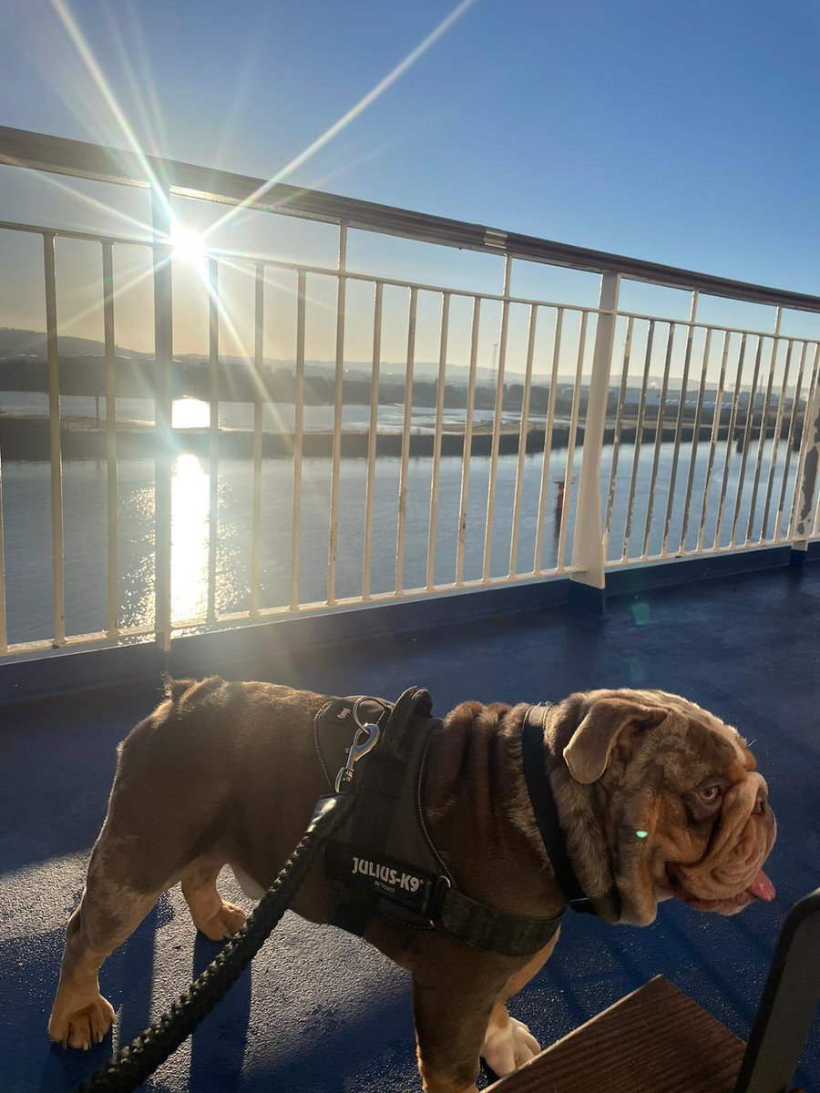 CiaraPugh's tweet photo. @StenaLineUKIE 🍀 Belfast > Liverpool ☀️ https://t.co/9oZtGV6Xb3