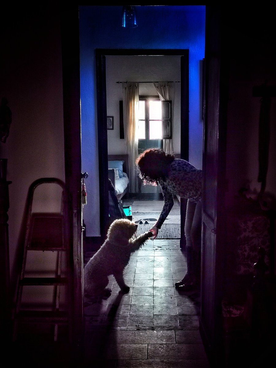 Siempre mejores amigos...