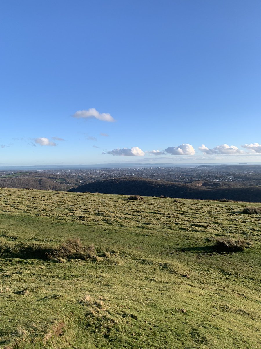 Sarah Jones tweet media