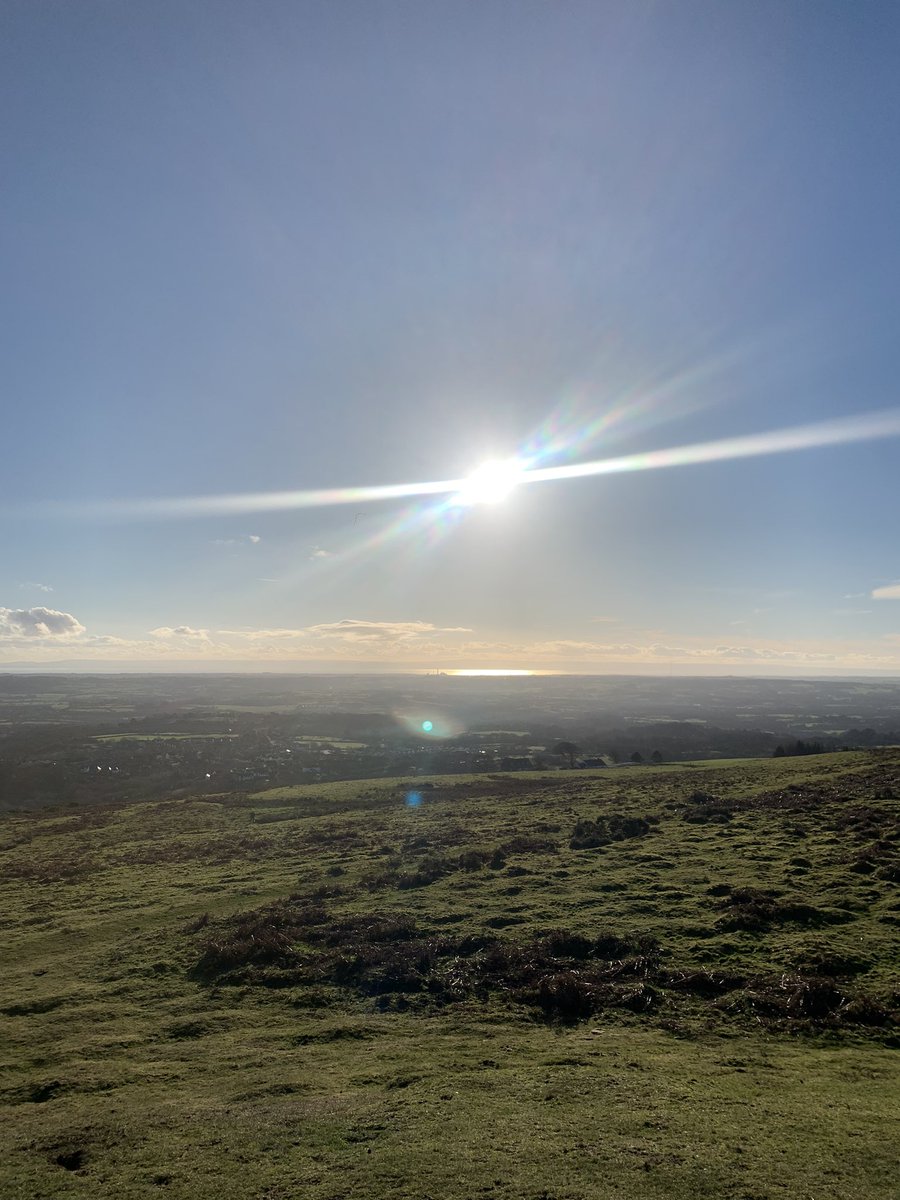 Sarah Jones tweet media