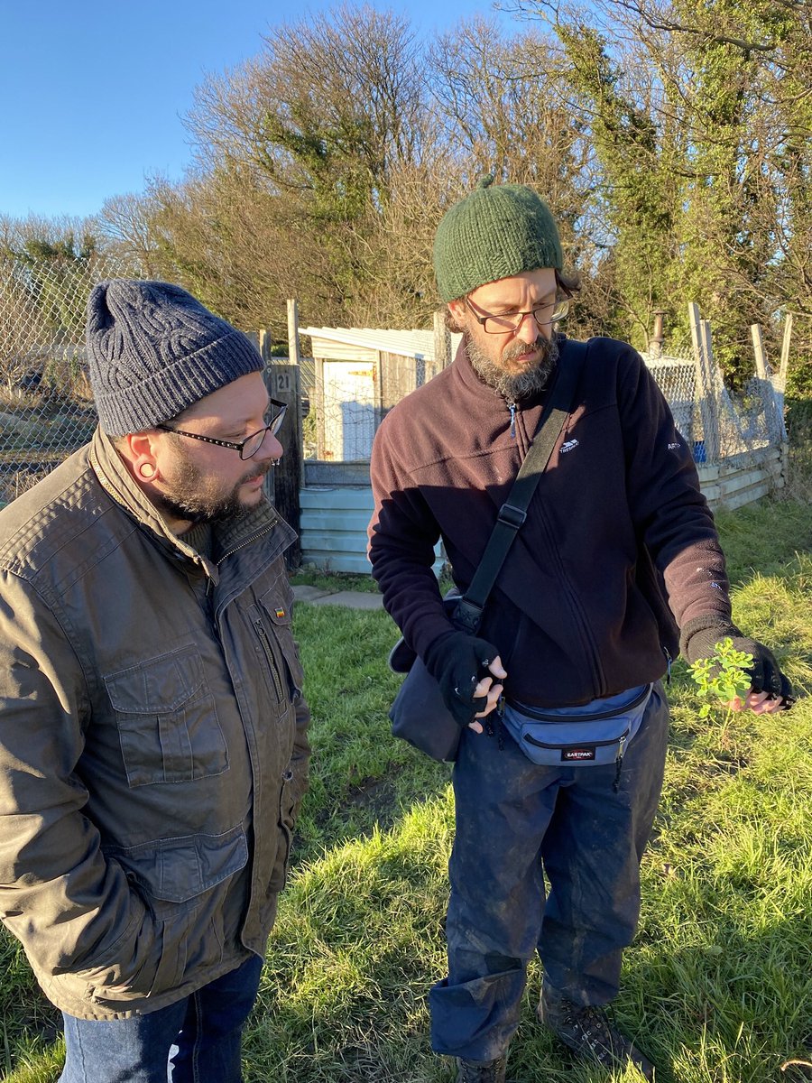 davebarlo's tweet photo. @BSBIbotany @teesbirds1 @teeswildlife A great walk in the sunshine botanising for the BSBI New Year Plant hunt a grand total of 40 species seen in flower in Saltburn including a rare grass Compact Brome Anisantha madritensis https://t.co/hwZpNhXmrY