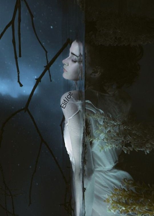 #GeceyeBirNot

________Heyy ADAM/ım

Rüyalarımda sana bir yer ayırsam
Mutluluklarınla girer misin kara gecelerime...

....

#Geceye
#Aşkile