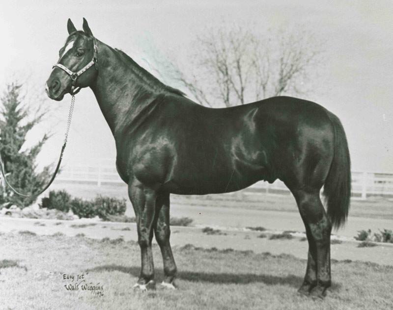 AQHARacing's tweet photo. It was 53 years ago today that Walter Merrick's Easy Jet won his first official race in a trial for the Blue Ribbon Futurity. The son of Jet Deck won the final a week later and then put together perhaps the most impressive 2-year-old campaign in history as he won 22 of 26 starts! https://t.co/4oIaKoV3ob