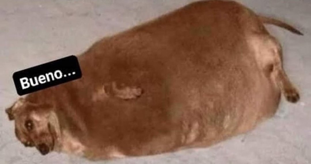 Cuando no puedo más y me preguntan si quiero un pedacito más de pan dulce