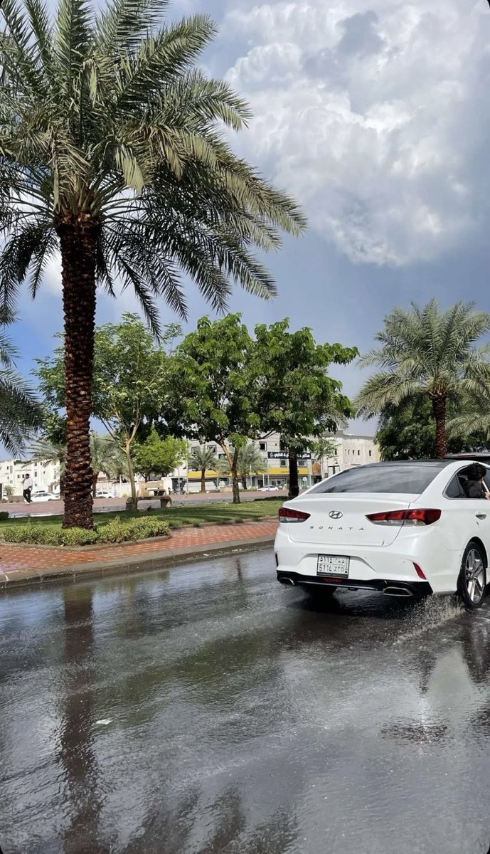 jctiz_'s tweet photo. محد ينافس المدينة وقت المطر ❤️‍🔥❤️‍🔥🌧️. https://t.co/Go7mPqQbo9