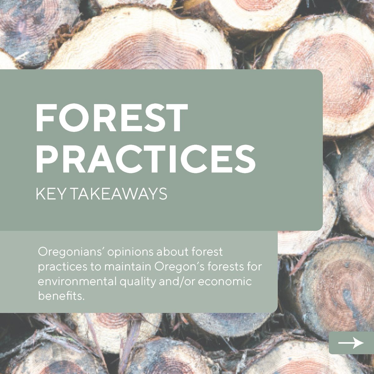 OregonVBC's tweet photo. Our research on forest management practices is live on our blog! Check it out at https://t.co/gkypO9tQWT https://t.co/VbJJOEY2Uy