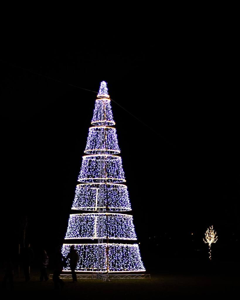 Mighell's tweet photo. #light #christmastree #molveno #photo #photography #nightphotography #photooftheday https://t.co/raOeYn58wb https://t.co/BoLmpTQEec