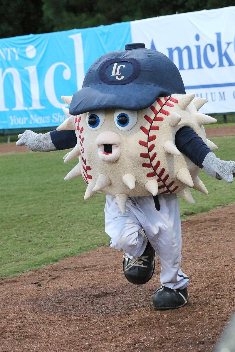 GoBlowfish's tweet photo. 2023 … the year of Blowie 🐡 https://t.co/jKeoNwc8IZ