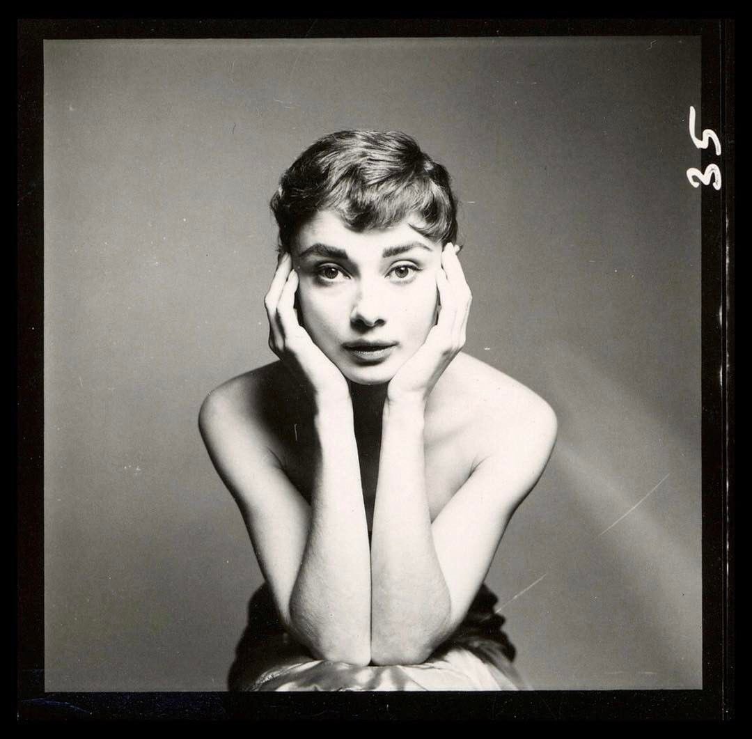 oldhllywoods's tweet photo. 1950s old hollywood actresses by richard avedon https://t.co/btz7Jpb24h